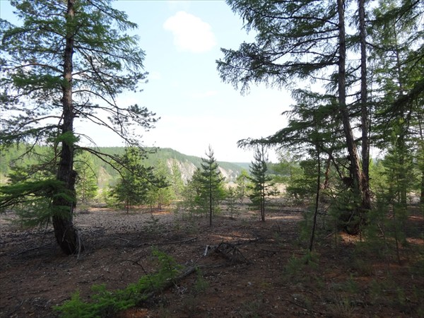 Конда Витим 191